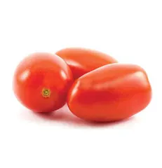 طماطم محلي
