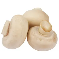فطر (علبة)