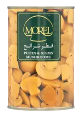 فطر شرائح