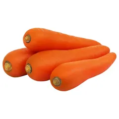 جزر مستورد