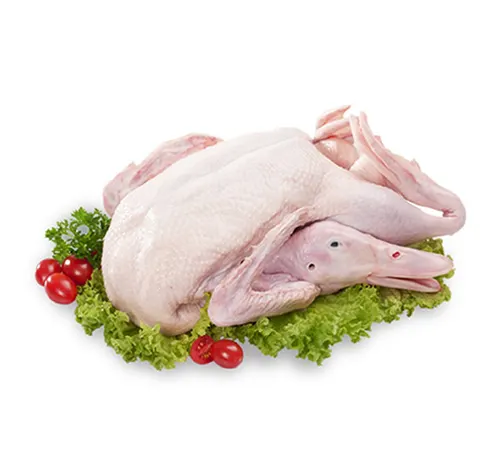 لحم بط طازج قطعة واحدة