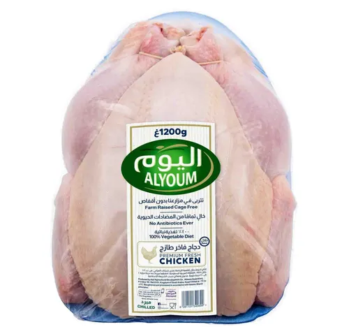 اليوم دجاجة كاملة طازجة 1.2 كجم