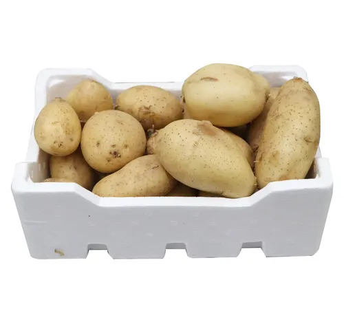 علبة بطاطس حرارية 2 كجم