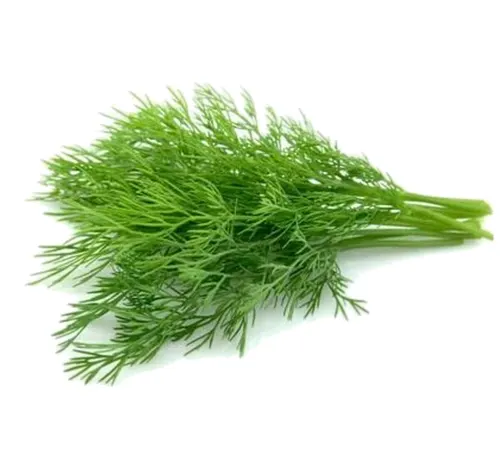 Dill Leaves 200g