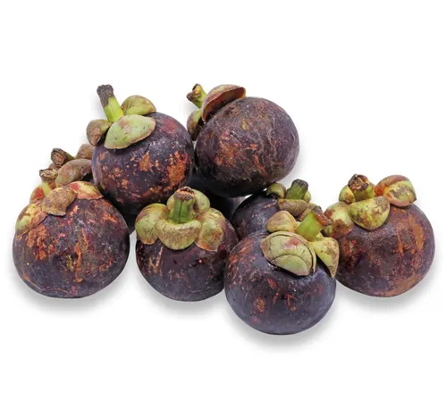 مانجوستين عبوة واحدة