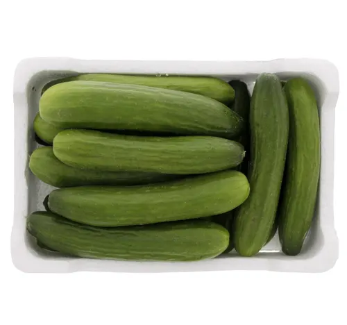 خيار 1.5 كجم