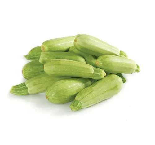 كوسا سعودية 500 جم