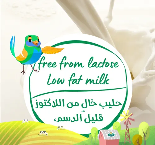 ارلا حليب عضوي خالي من اللاكتوز قليل الدسم 1 لتر