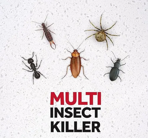 Raid Multi Insects Killer Spray Odorless 2 x 300 ml