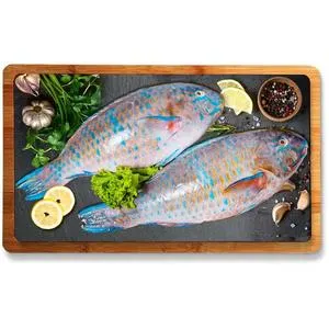 Fresh Big Harid Fish 2-4 kg