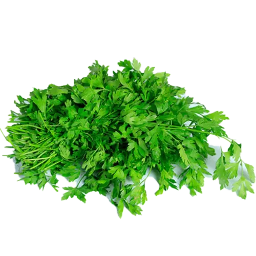 سعودي بقدونس-100 - 120 غرام