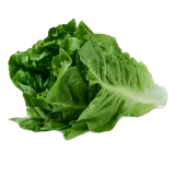 سعودي خس رومين- كغم 1.0