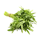 سعودي نبات كانغ كونغ- غرام 250