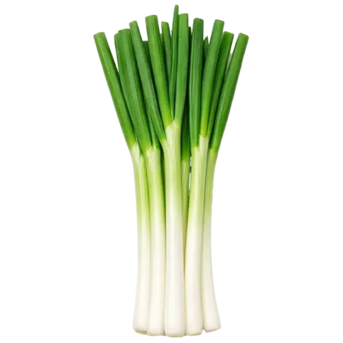 سعودي بصل أخضر-عبوة