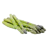 مكسيكي نبات هليون أخضر حجم كبير-450 غرام