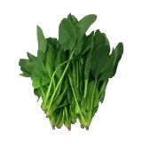 سعودي سبانخ-100 - 120 غرام