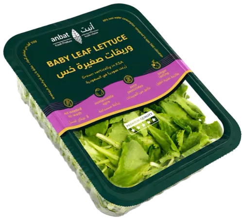 انبت أوراق خس صغيرة-100 غرام