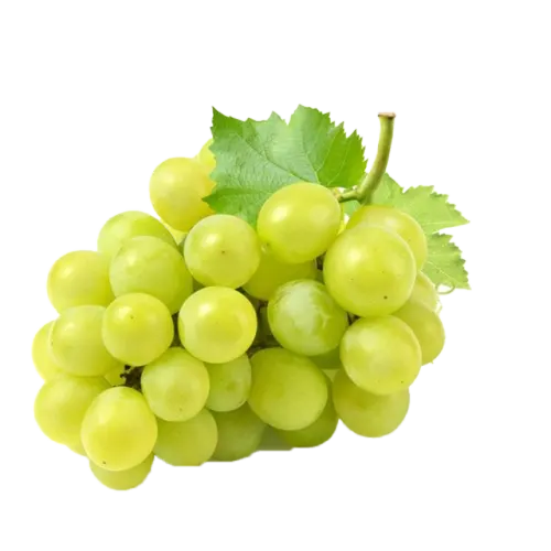 ايطالي عنب أبيض- غرام 250