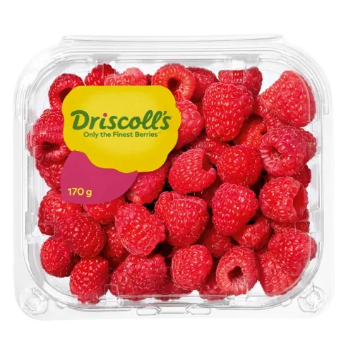 أمريكي توت بري أحمر طازج-170 غرام
